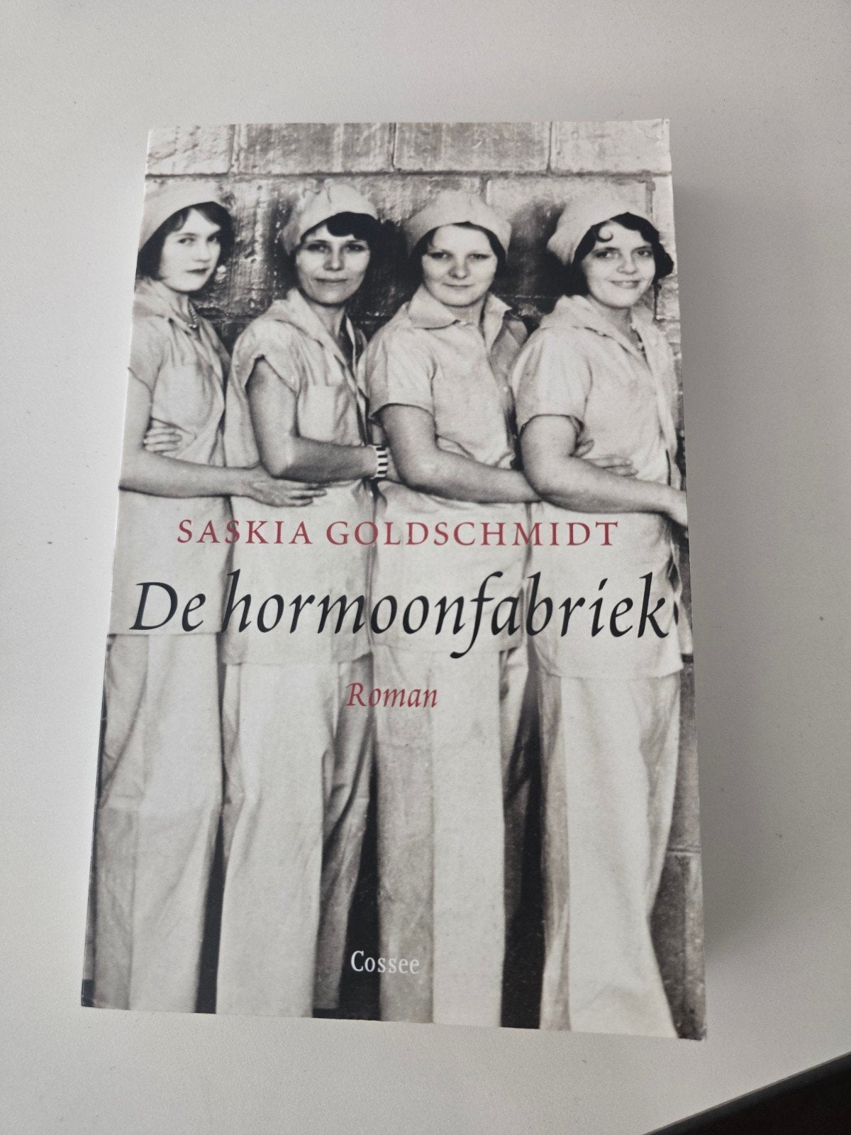 De hormoonfabriek - Saskia Goldschmidt (Roman), Ophalen of Verzenden, Zo goed als nieuw, Saskia Goldschmidt, Nederland