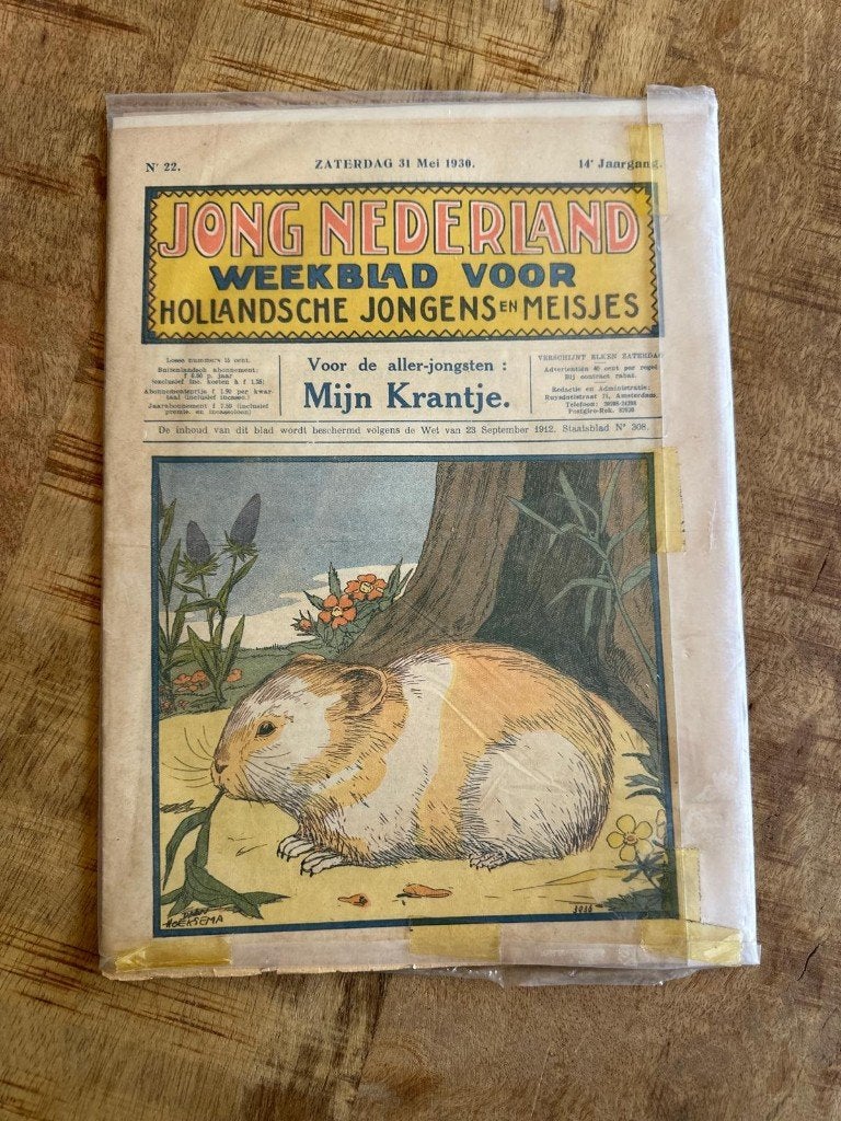 2x Jong Nederland weekblad (mei 1930) - Antiek jeugdblad, Ophalen, Gelezen, Damesbladen