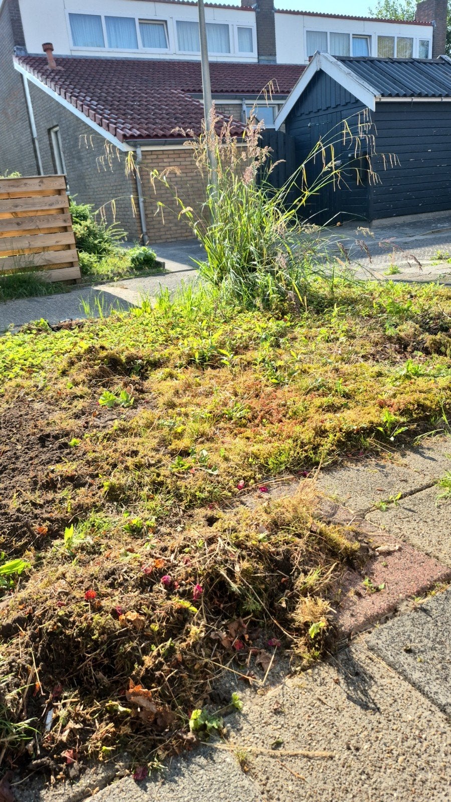 tuinman aangeboden, Vacatures, Profielen | Man/Vrouw zoekt werk, Overige vormen