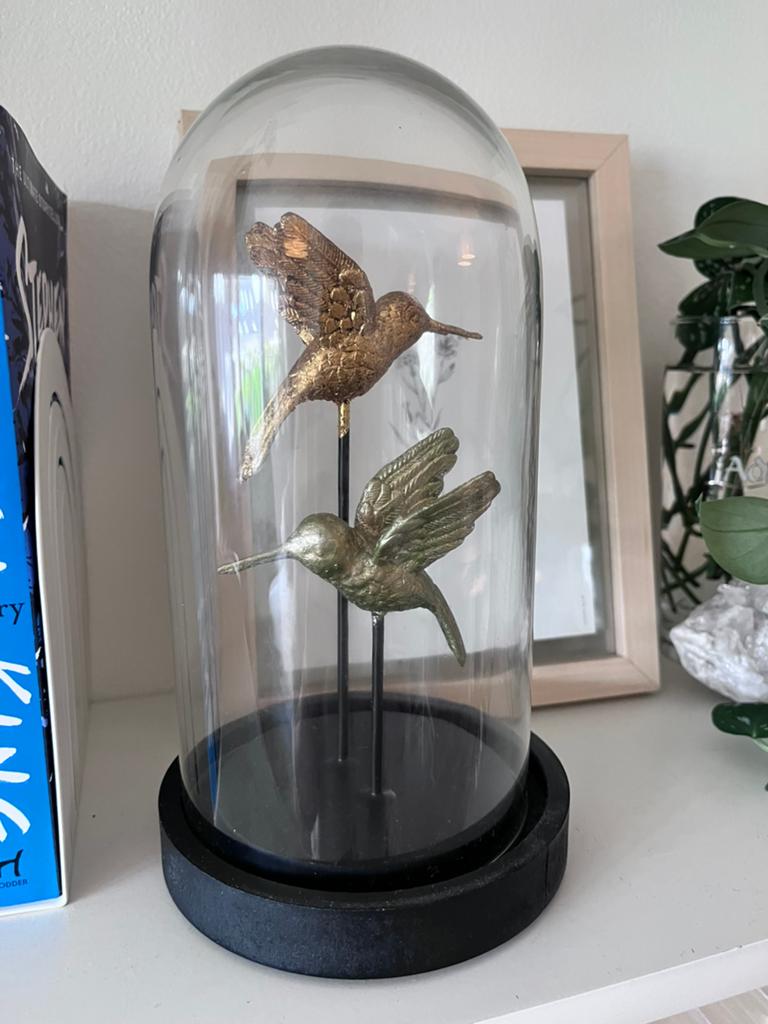 Glazen stolp met twee kolibrie beeldjes, Ophalen, Gebruikt, Glas, Goud