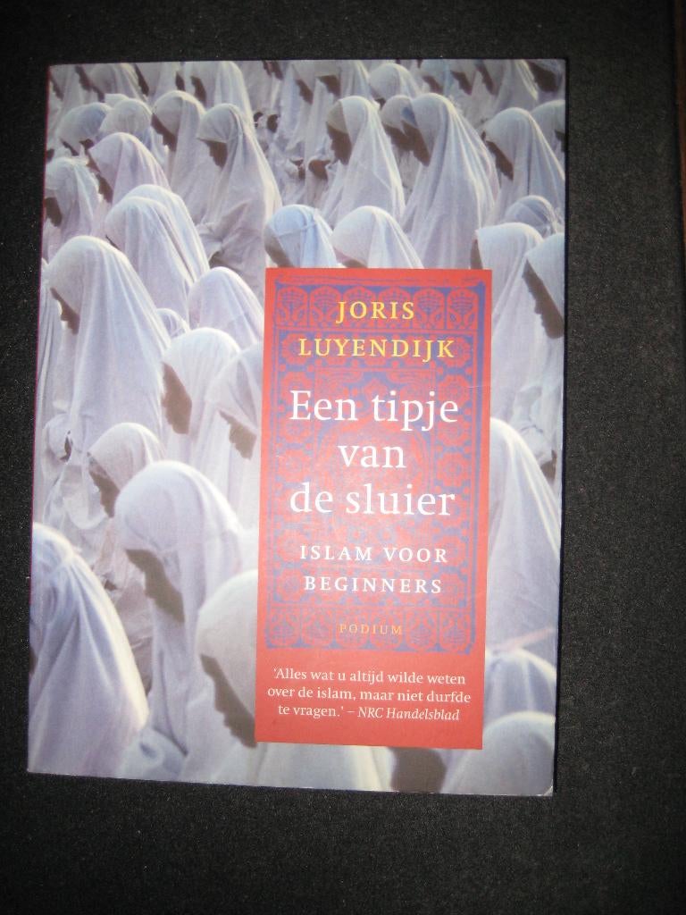 Joris Luyendijk - Een tipje van de sluier, Maatschappij en Samenleving, Nieuw, Ophalen of Verzenden, Nederland