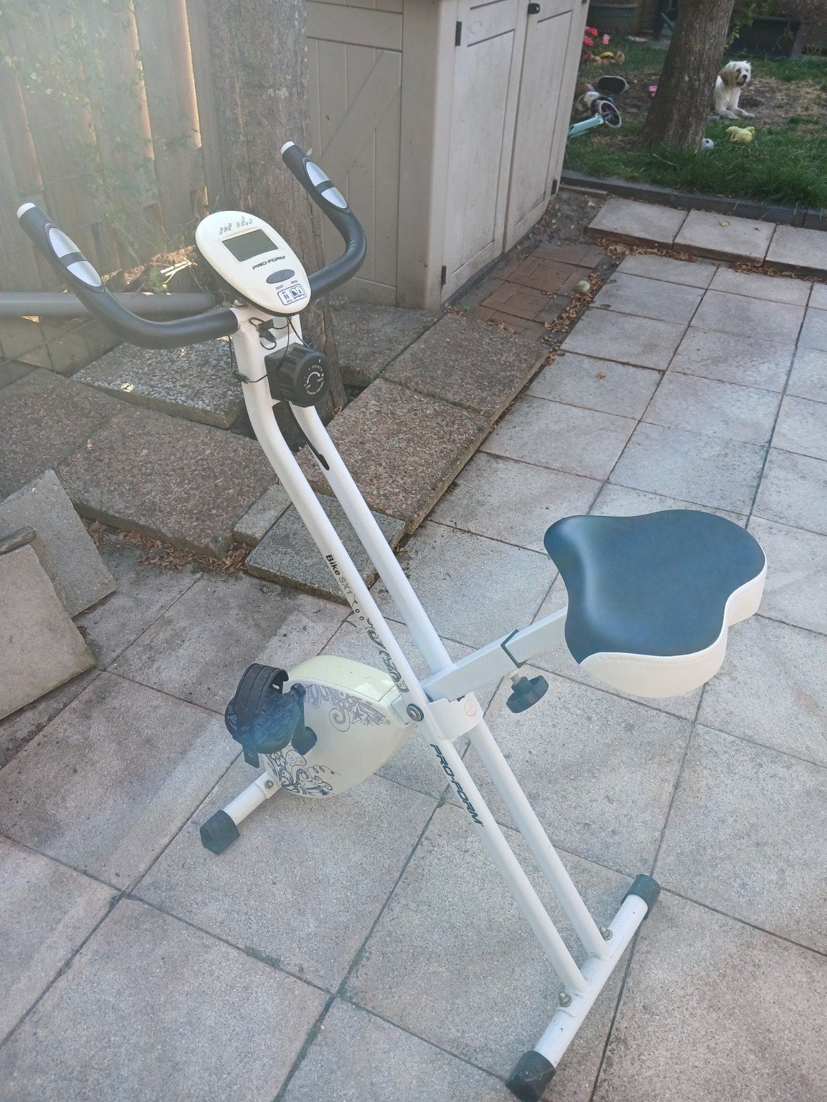 Hometrainer Pro-Form - Compact en Opvouwbaar, Ophalen, Gebruikt, Metaal, Benen
