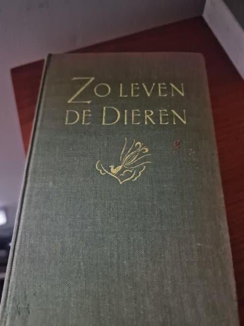 Zo Leven De Dieren boek, Ophalen of Verzenden