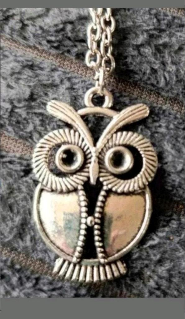 Ketting titanium Uil, Verzenden, Nieuw, Zilver, Met hanger