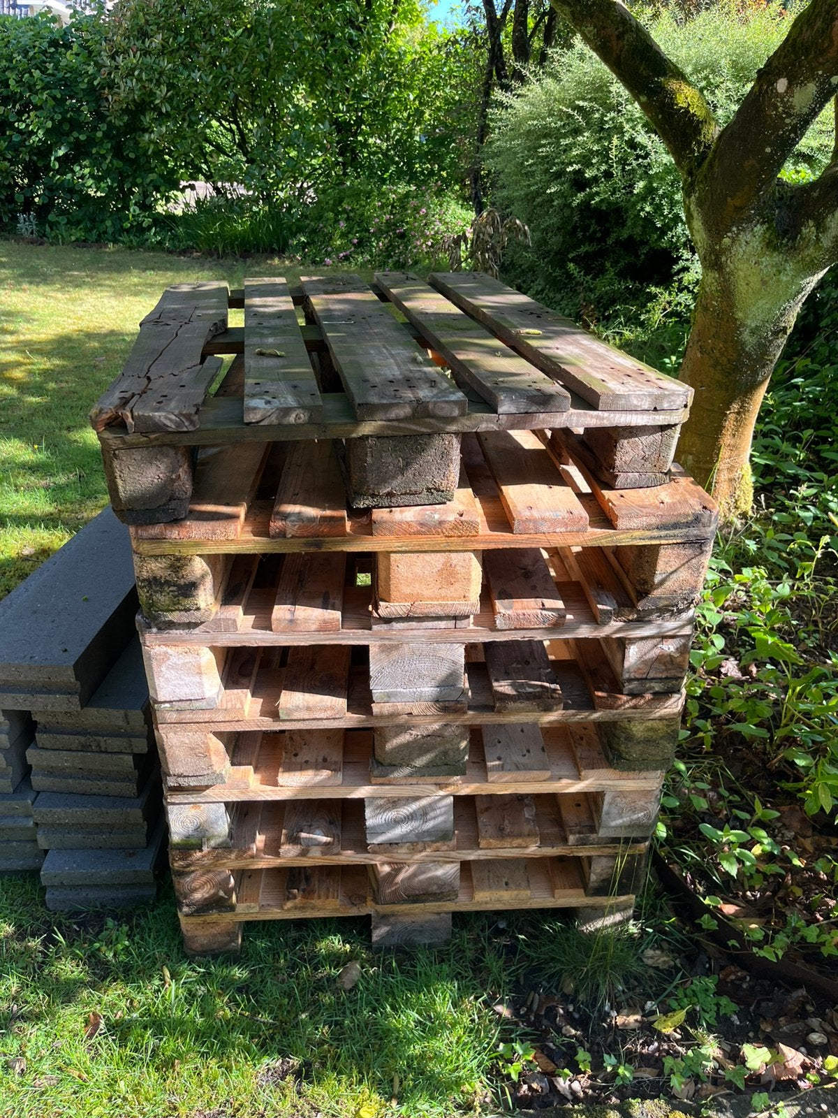 Pallets (gratis), Ophalen, Overige houtsoorten, Minder dan 200 cm, Pallet