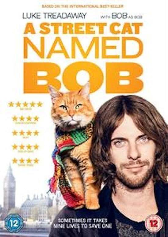 A Street Cat Named Bob (2016) DVD - James Bowen, Alle leeftijden, Ophalen of Verzenden, Gebruikt, Overige gebieden