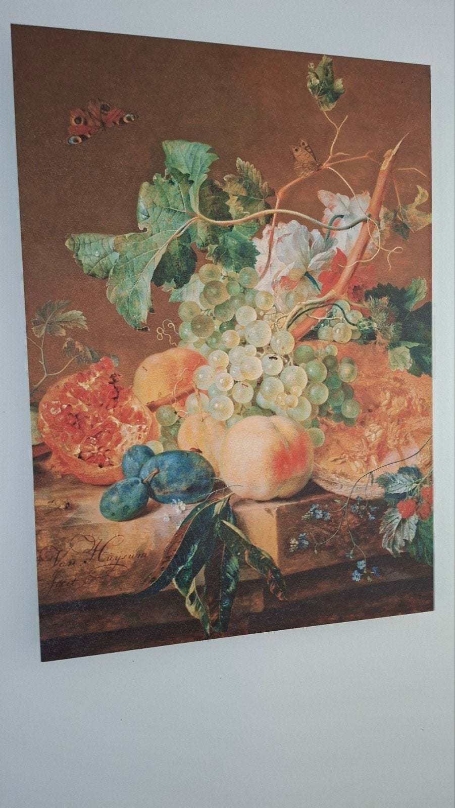 Klassiek stilleven met fruit en vlinders, op alu geprint, Ophalen