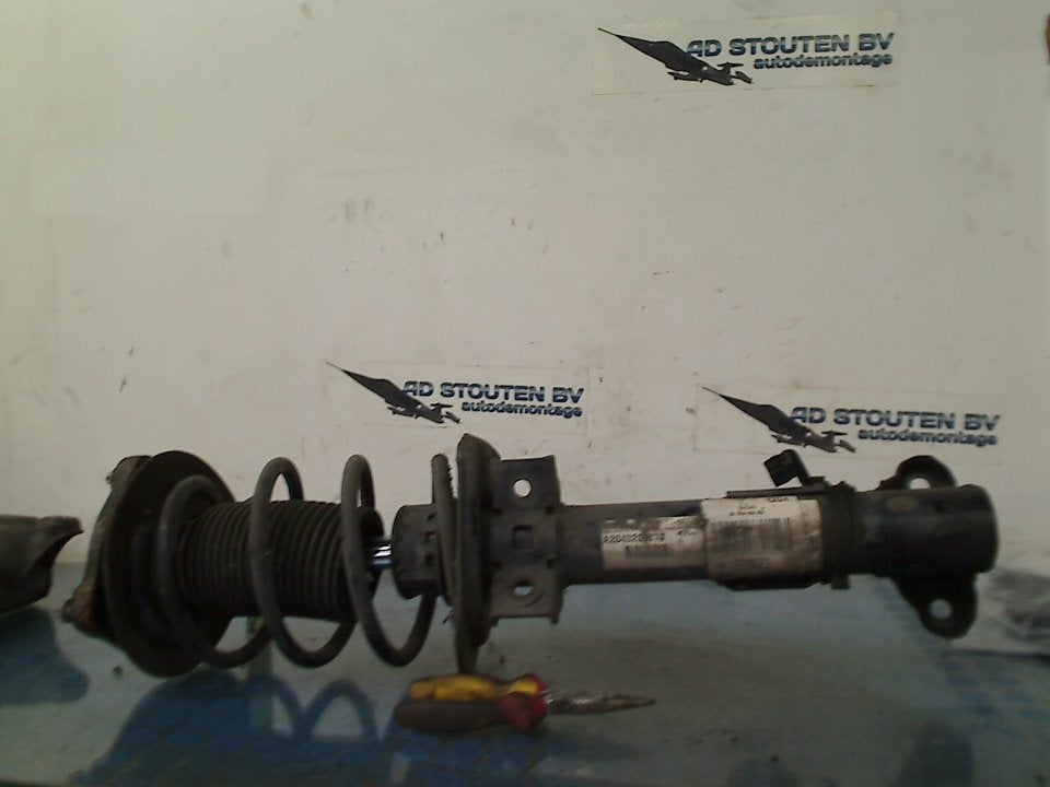 Veerpoot Links Voor Mercedes-Benz C (W204) 2008 A2043201613, Gebruikt, Mercedes-Benz AG, Mercedes-Benz, Mercedesstraße 120, Stuttgart 70372, , Duitsland