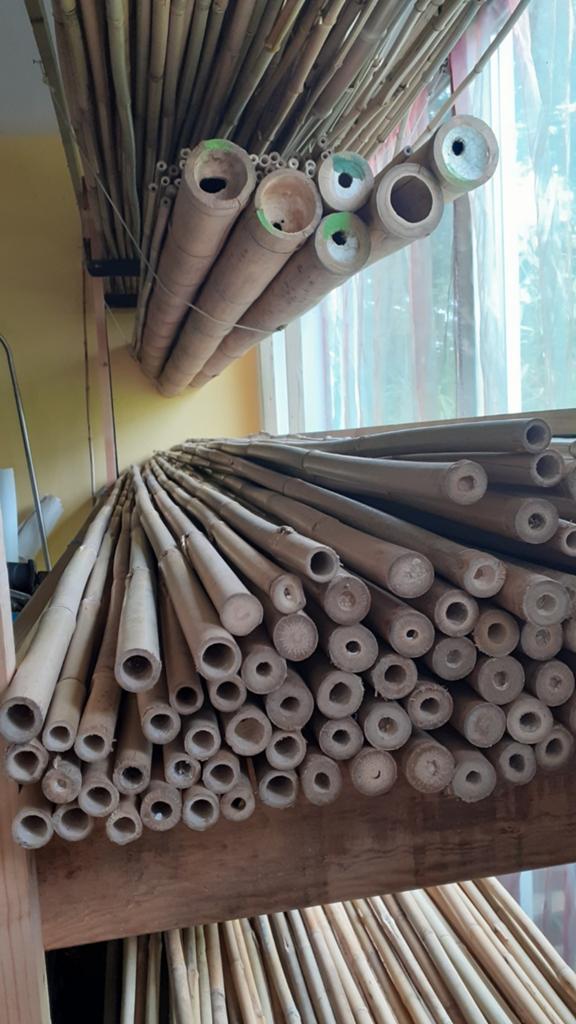 Tonkinstokken Bamboe stokken/palen, Tuin en Terras, Nieuw, Hillegom, Gabe@bamboer.com, De Bamboer