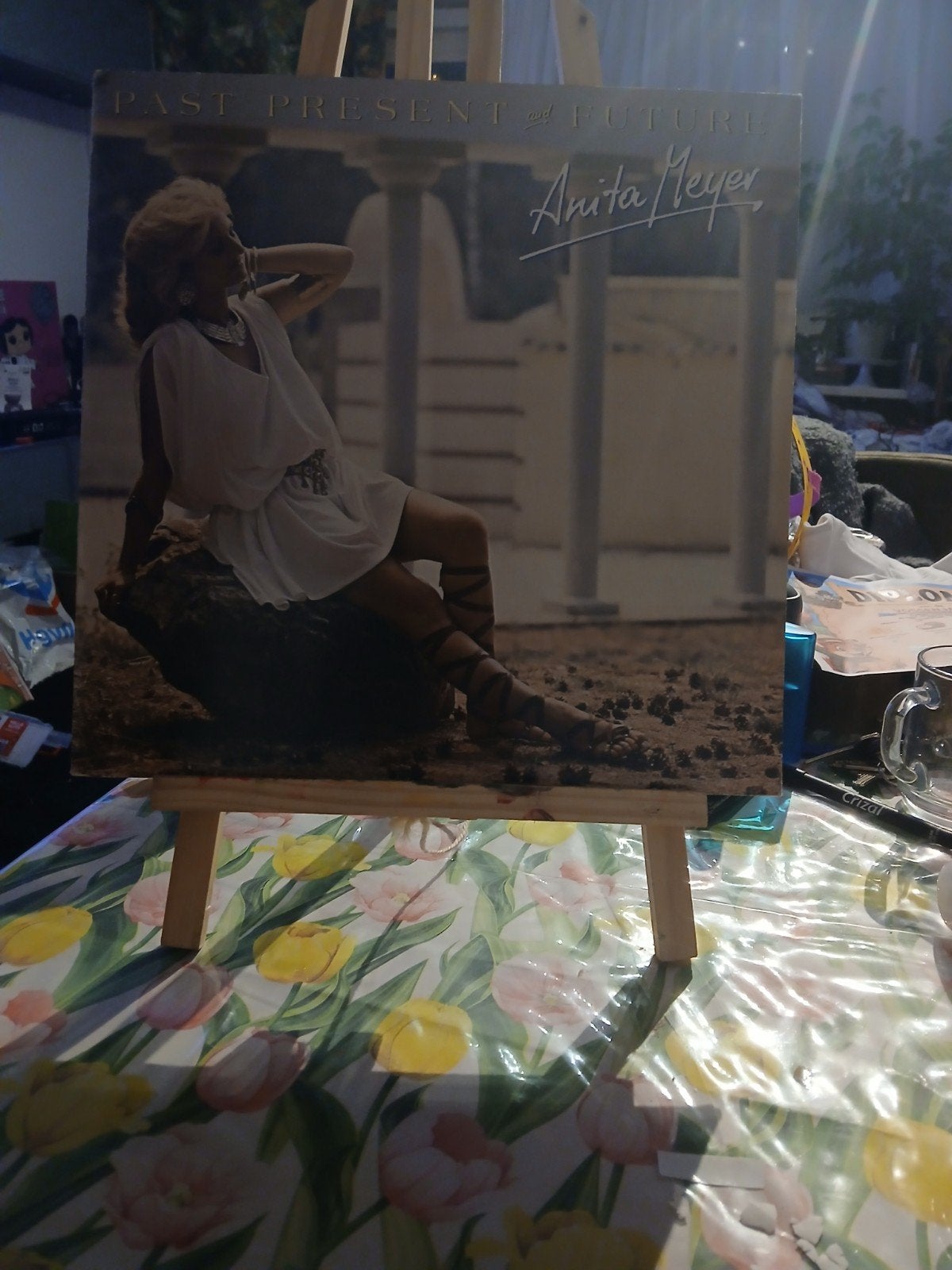 Anita Meyer - Past, Present & Future LP, LP, Gebruikt, Pop, Ophalen of Verzenden