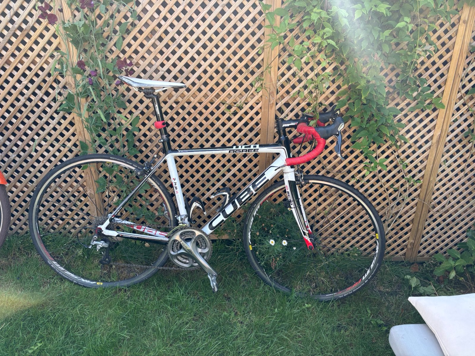 Cube Agree HPA racefiets – zeer nette staat, Overige merken, Carbon, Ophalen of Verzenden, Zo goed als nieuw