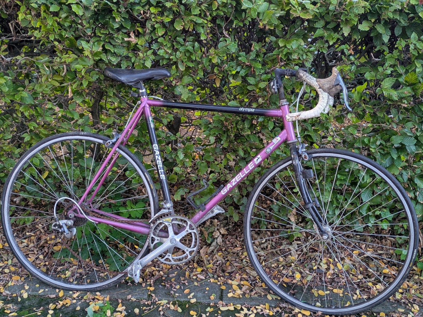 Racefiets Gazelle Olympia Vintage Fiets Versnellingen, Ophalen, Gebruikt, Gazelle, 10 tot 15 versnellingen