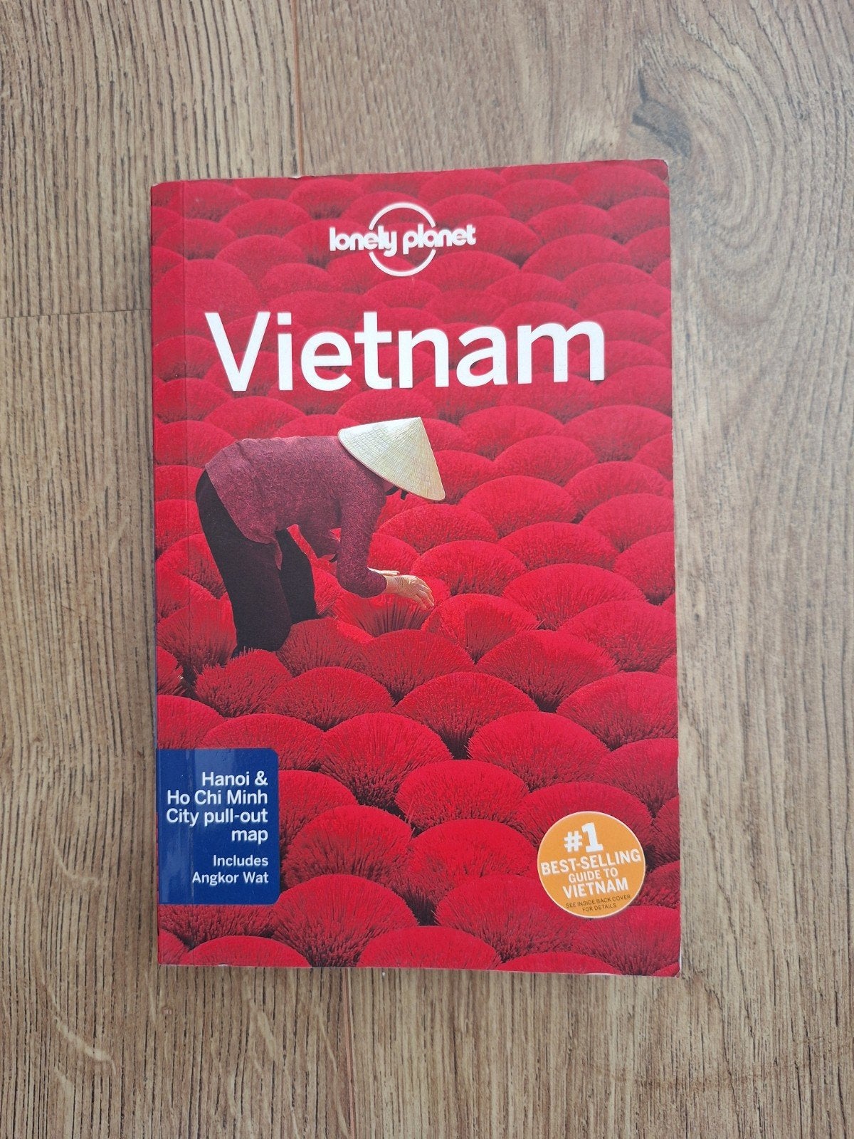 Lonely Planet Vietnam Reisgids met kaart, Lonely Planet, Ophalen of Verzenden, Zo goed als nieuw, Reisgids of -boek