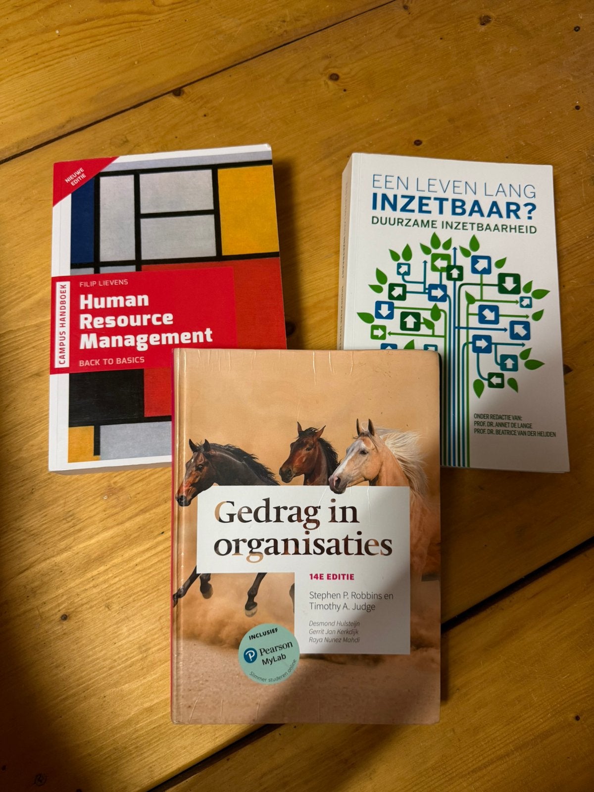 Studieboeken HRM, Boeken, Ophalen of Verzenden, Zo goed als nieuw, Overige niveaus, Overige vakken