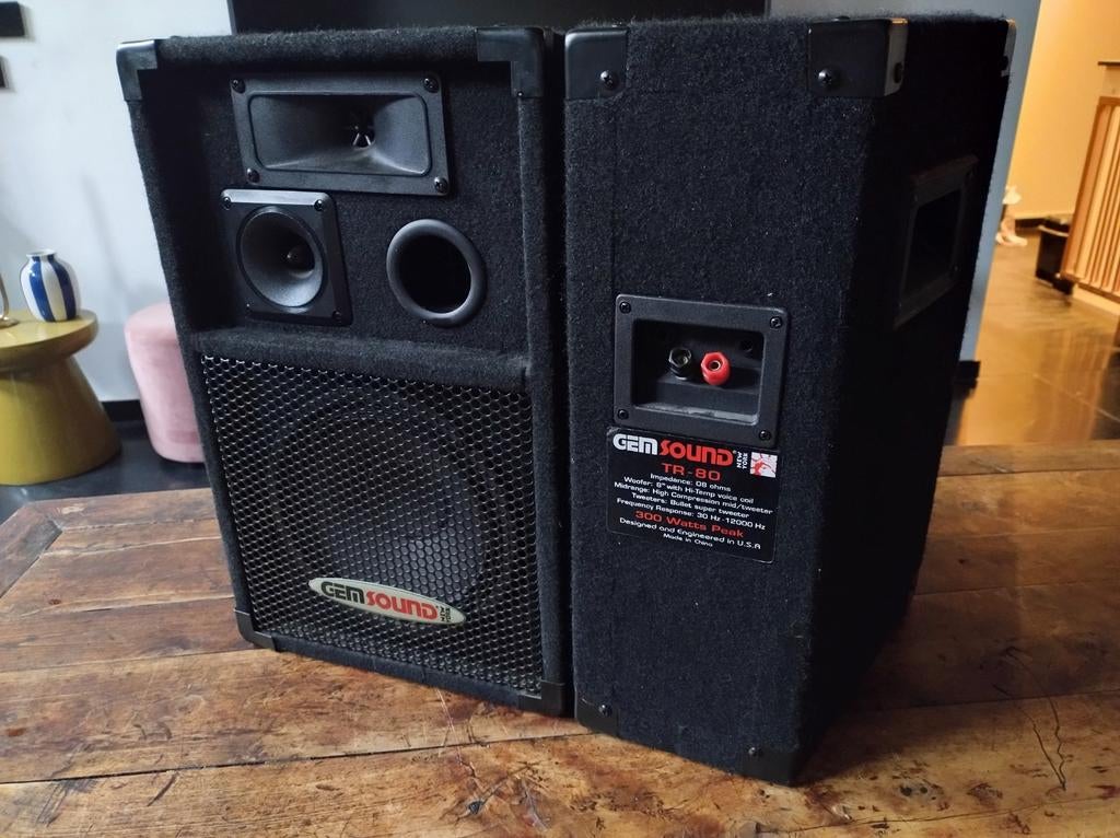 GEM Sound TR-80 Speakers - 300 Watt, Audio, Tv en Foto, Luidsprekers, Gebruikt, 120 watt of meer, Front, Rear of Stereo speakers