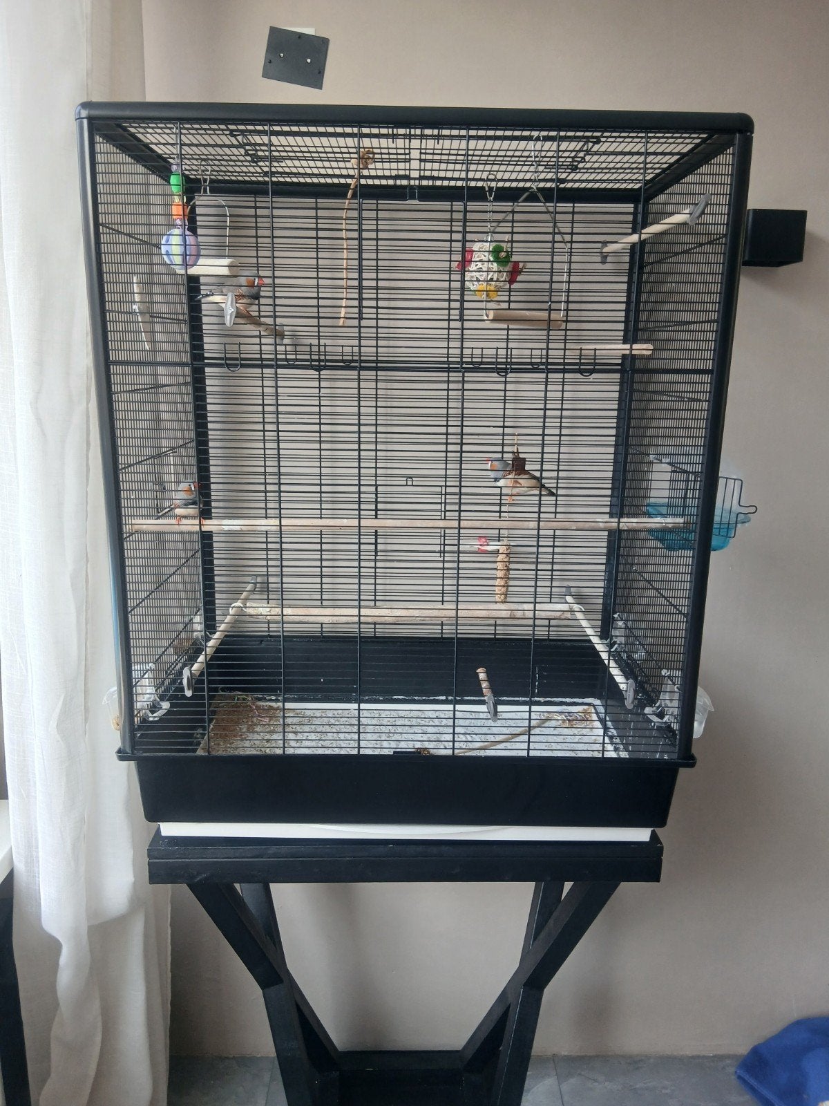 vogelkooi, Ophalen of Verzenden, Zo goed als nieuw, Hout, Vogelkooi