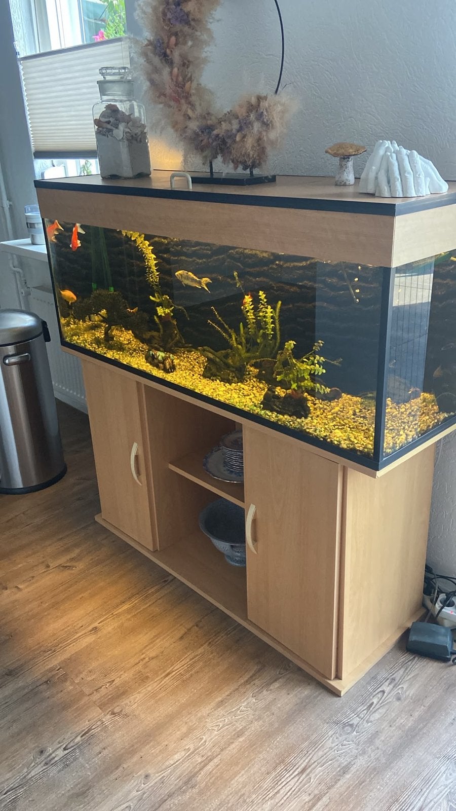 Gratis Aquarium incl. vissen en toebehoren, Ophalen, Inclusief vissen, Gebruikt, Aquariummeubel