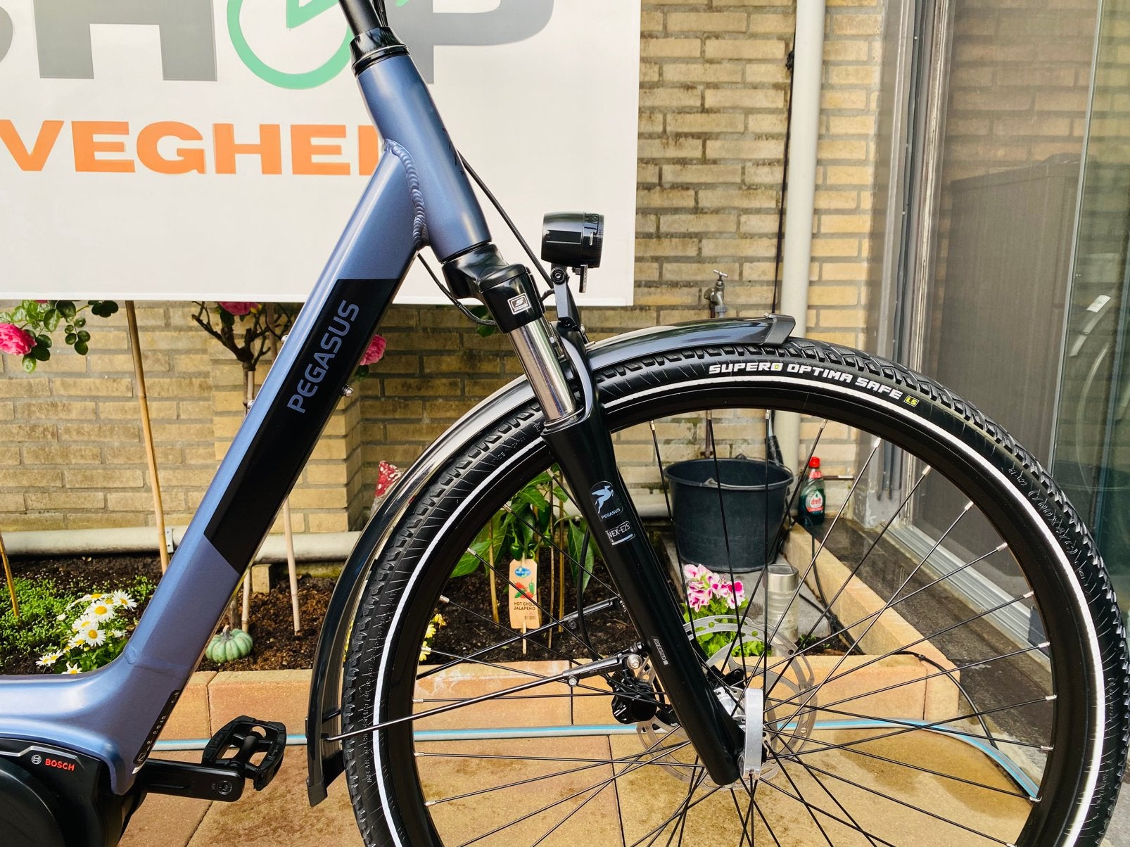 Elektrische Pegasus Bosch Middenmoto Active Line Plus.D55, Fietsen en Brommers, Fietsen | Dames | Damesfietsen, 53 tot 56 cm, Ophalen of Verzenden