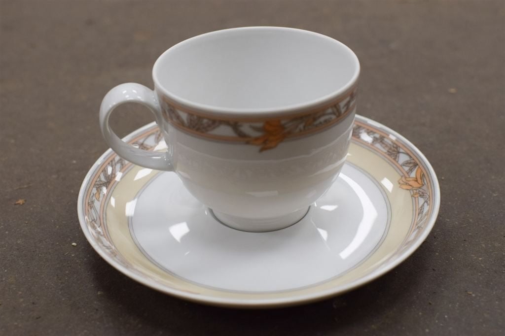 17 delige Hutschenreuther porseleinen koffieservies 48366, Huis en Inrichting, Gebruikt, Ophalen of Verzenden, Bord(en), Overige stijlen