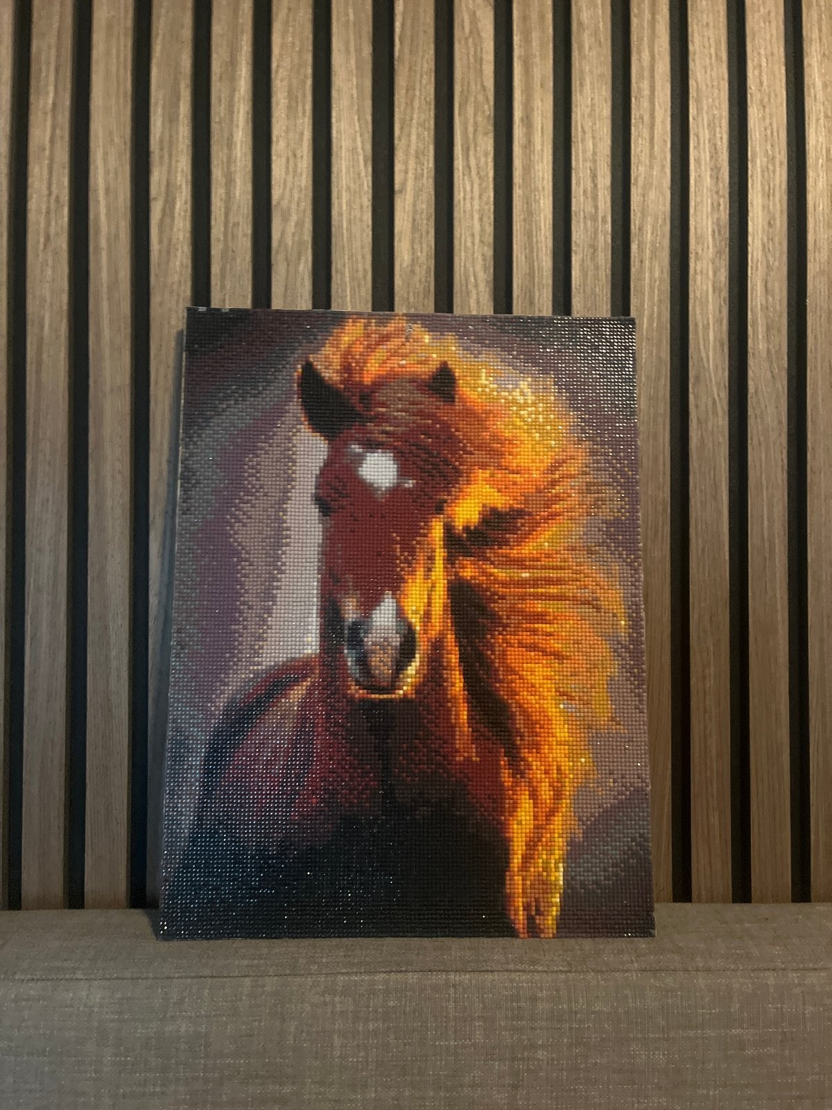 Diamond Painting Paard - Klaar om op te hangen, Klaar om op te hangen, Ophalen of Verzenden, Zo goed als nieuw, Diamond painting