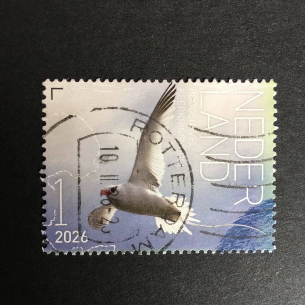 brmv 2833 Nede 2026 Beleef vogels SABA - Roodsnavel - gestem, Ophalen of Verzenden, Na 1940, Gestempeld