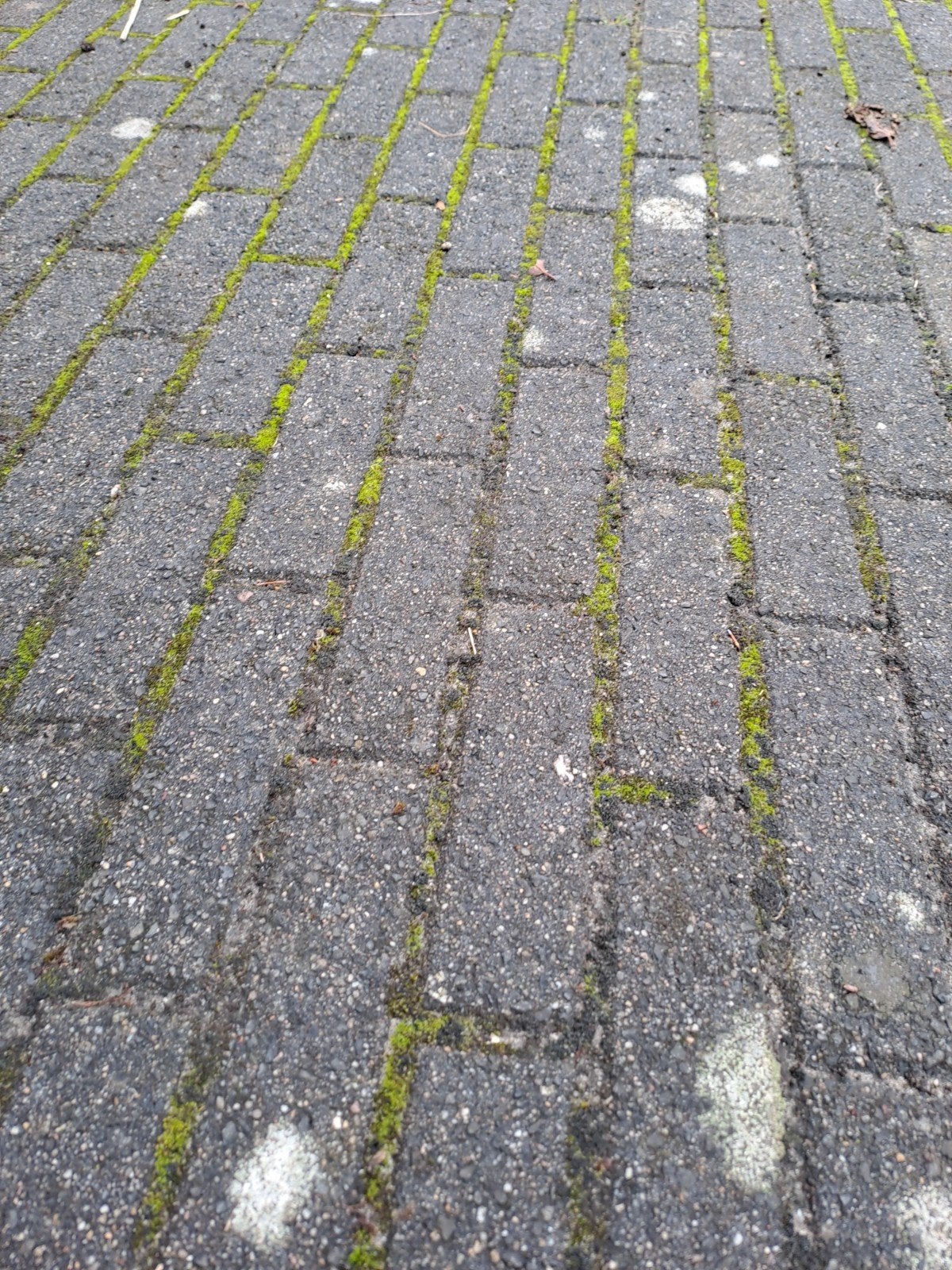 24 m2 klinkers, Tuin en Terras, Ophalen, Gebruikt, Klinkers, 10 m² of meer