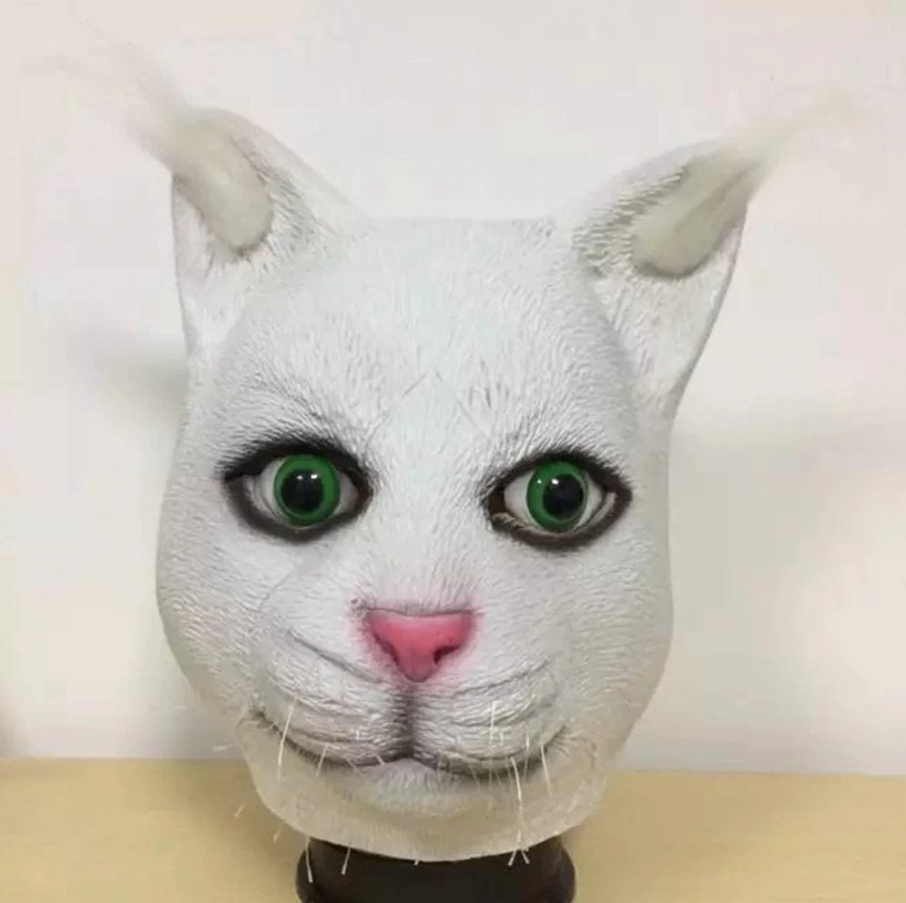 Kat Masker Latex Katten Dier Dieren Halloween Carnaval, Verzenden, Nieuw, Feestartikel, Halloween of Griezel