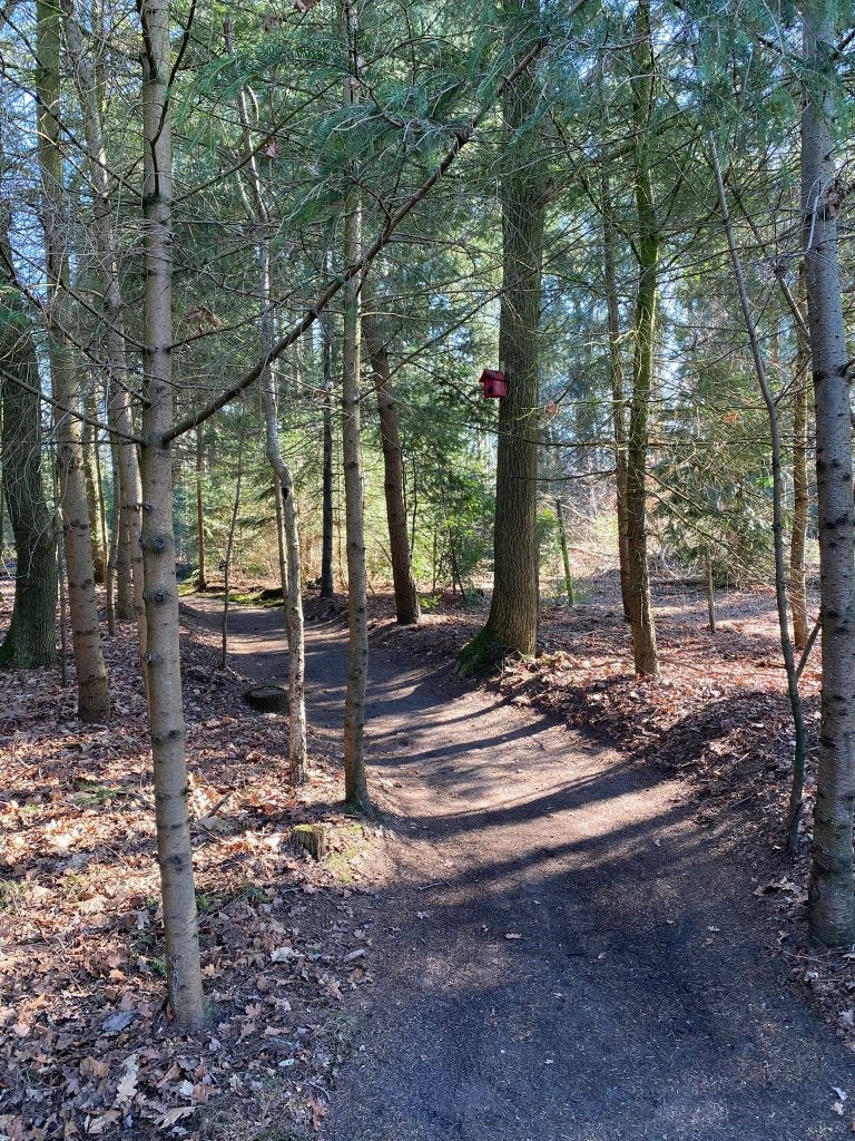 Uniek recreatiebos - Rust, Natuur & Privacy | Middelbeers, Ophalen of Verzenden