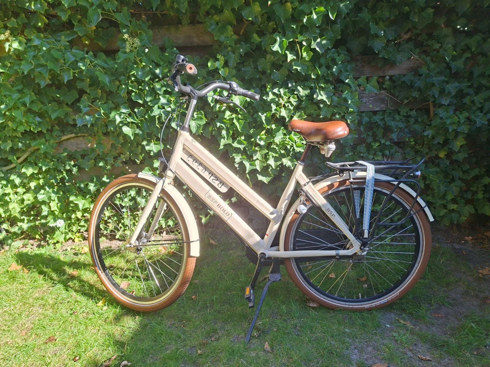 BSP damesfiets, Ophalen, Gebruikt, Minder dan 10 versnellingen, Overige merken