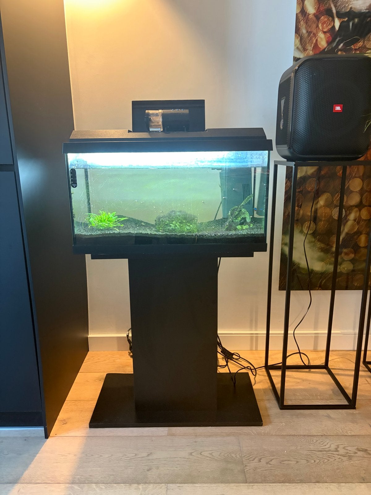 JUWEL Aquariumset Primo 60 incl onderstandaard zwart, Aquariummeubel, Ophalen of Verzenden, Zo goed als nieuw, Pomp