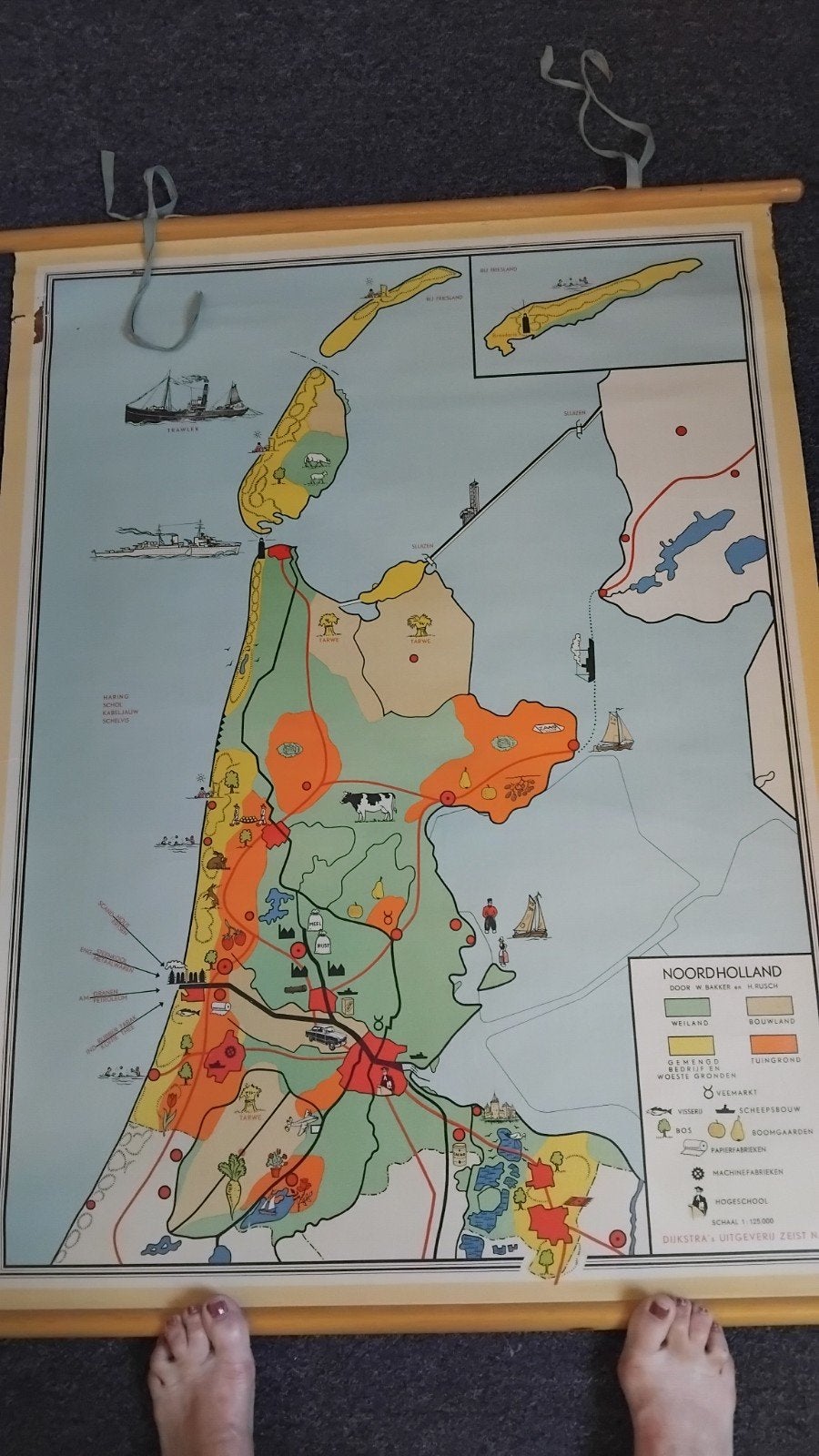 Vintage schoolplaat Noord-Holland - licht beschadigd, Ophalen of Verzenden, Aardrijkskunde