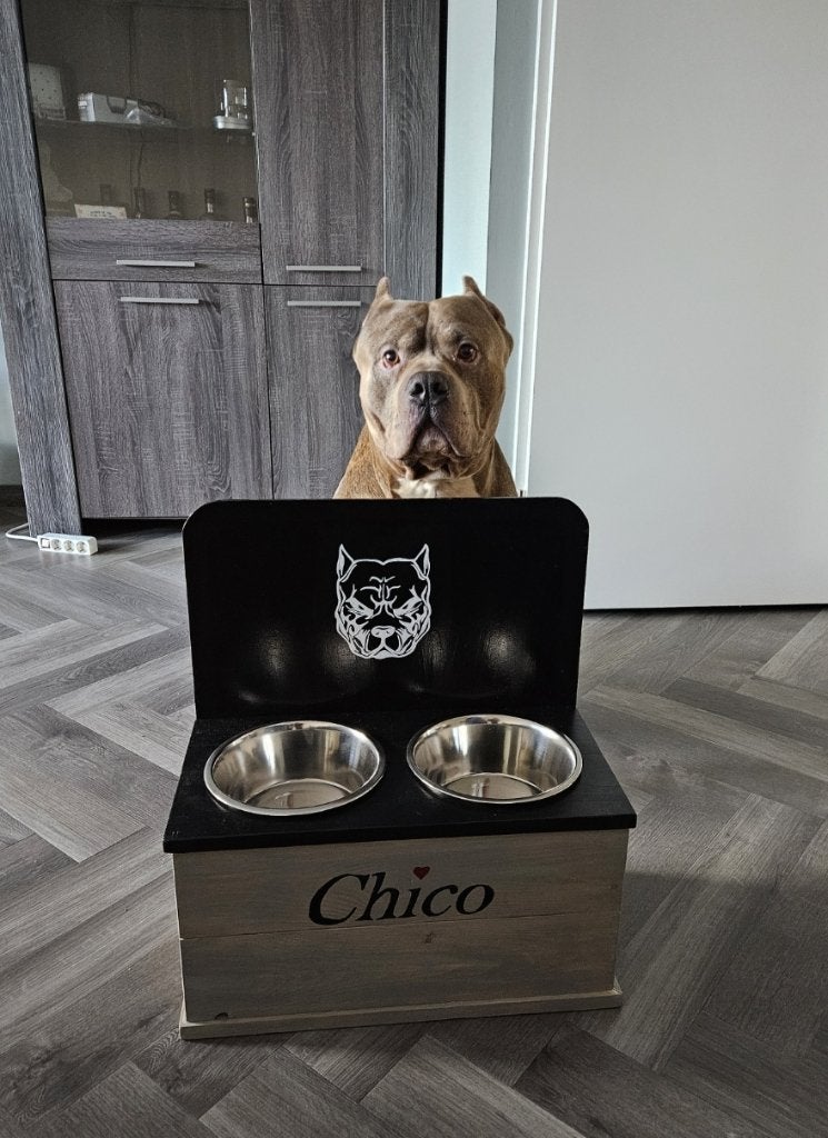 Houten Voerbakstandaard Hond Kat Met Achterwand & RVS bakken, RW Houtidee – handgemaakte houten voerbakstandaards voor hond en kat. Met RVS bakken, achterwand, kleur, naam en afbeelding naar wens. Diverse maten en hoogtes mogelijk. Praktisch, stijlvol, persoonlijk en uniek maatwerk voor elke hond en kat voor thuis!