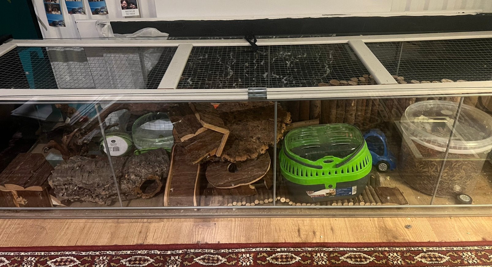 Knaagdierenhok met hamsterspullen & voer, Dieren en Toebehoren, Hok, Ophalen, Minder dan 60 cm, 110 cm of meer