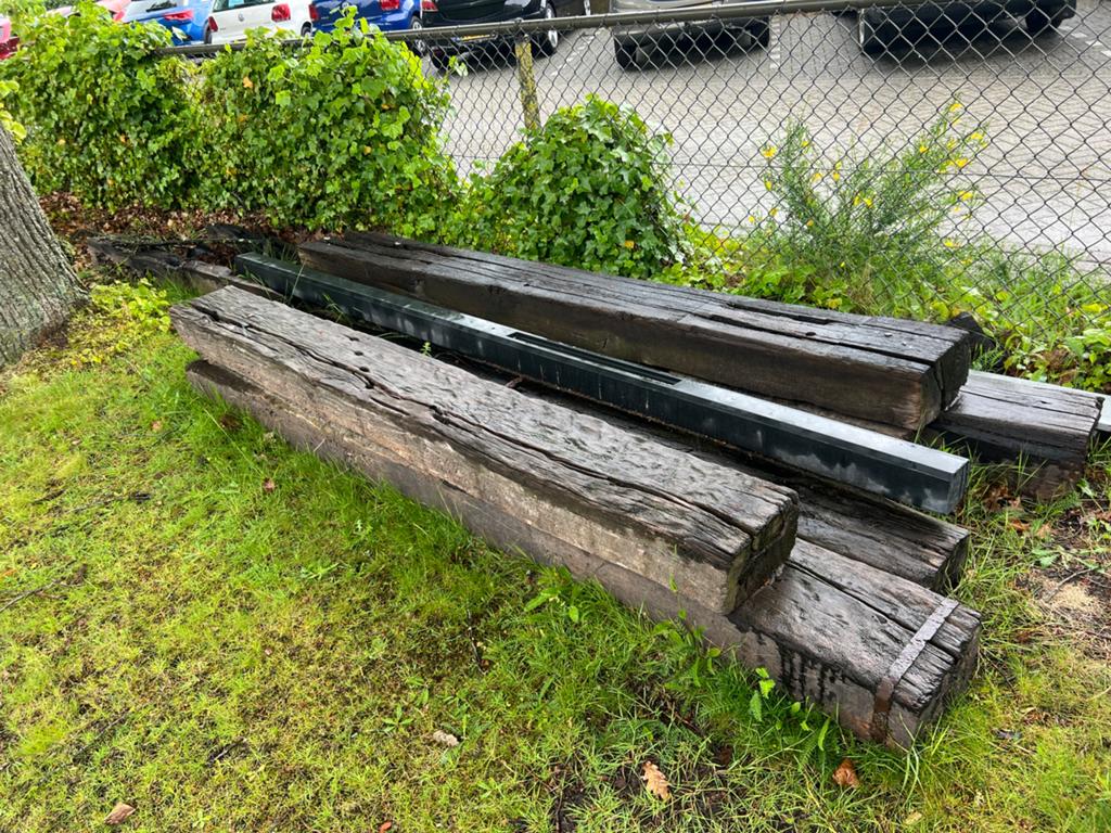 Gratis bielzen, Tuin en Terras, Bielzen en Borders, Ophalen, Gebruikt, Biels, Minder dan 25 cm