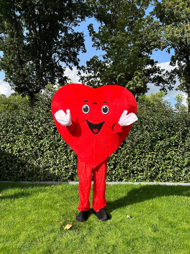 Te Huur: Hart-Kostuum, Verjaardag, Valentijn, Carnaval, Ophalen of Verzenden, Zo goed als nieuw, Valentijn of Romantisch