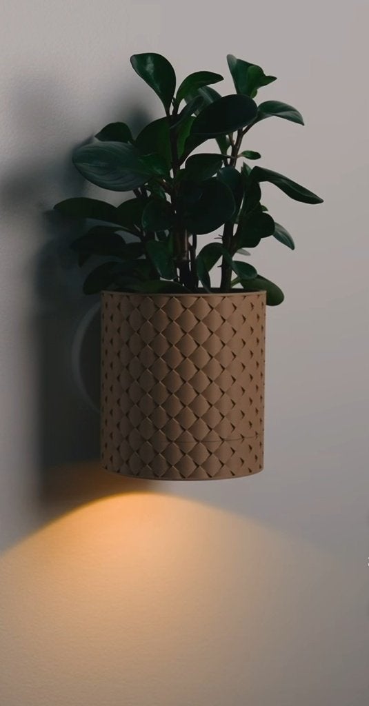 Wall plant vase - Plant vase, Ophalen of Verzenden, Halfschaduw, Minder dan 100 cm