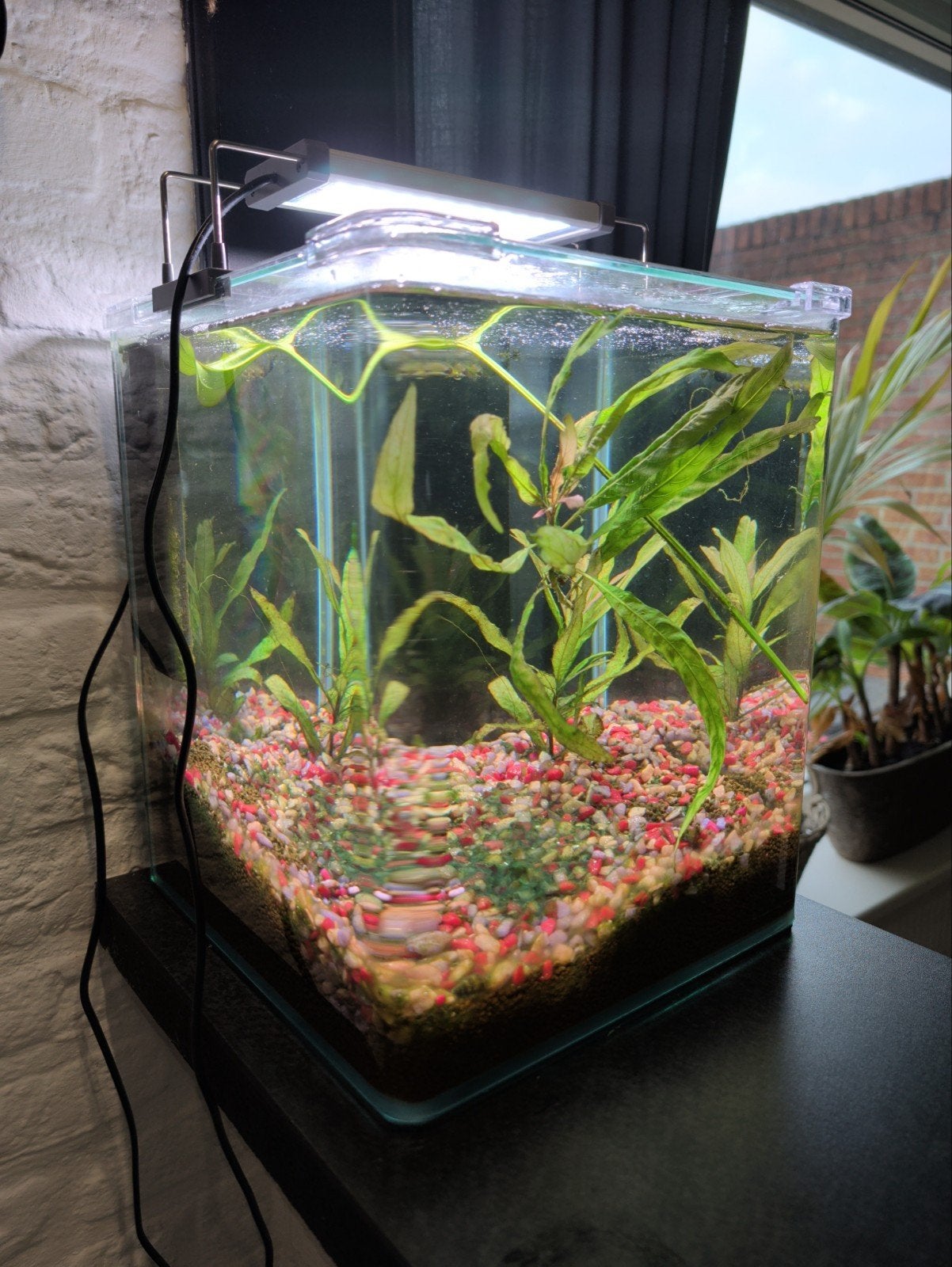 mooi klein Aquarium 20 ltr. zonder vissen., Dieren en Toebehoren, Ophalen of Verzenden, Zo goed als nieuw