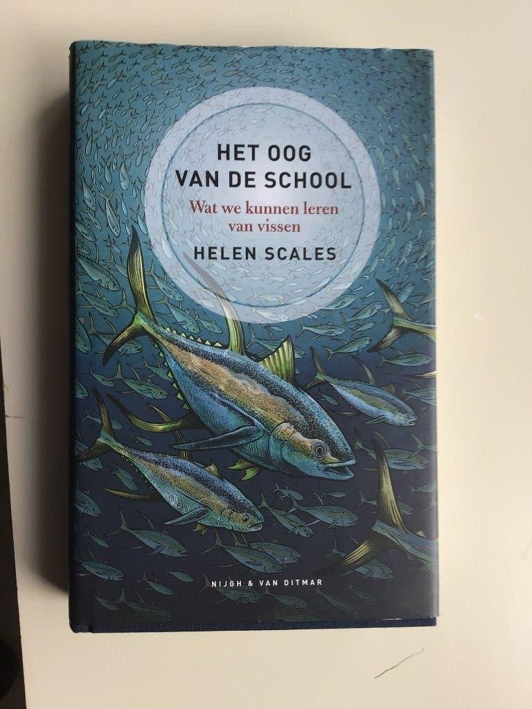 Het oog van de school, over vissen., Ophalen of Verzenden, Nieuw, Natuur algemeen