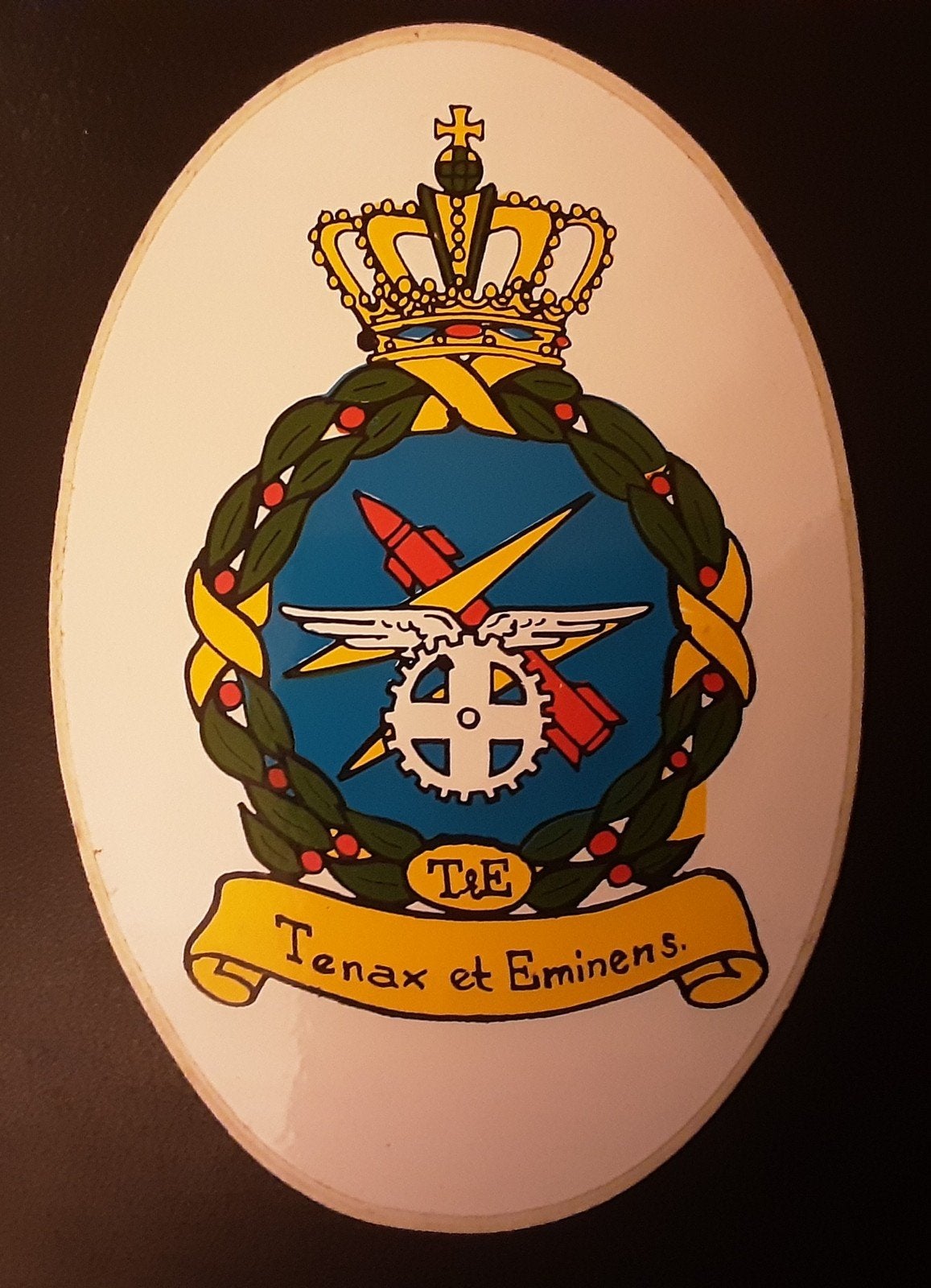 Militair embleem Luchtmacht 'Tenax et Eminens' sticker, Verzamelen, Stickers, Ophalen of Verzenden