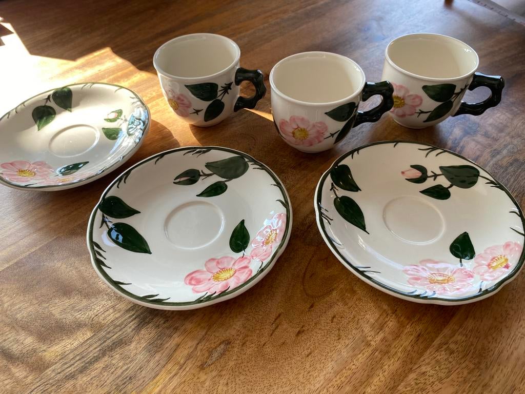 Villeroy en Boch Wild Rose kop en schotels, Antiek en Kunst, Ophalen