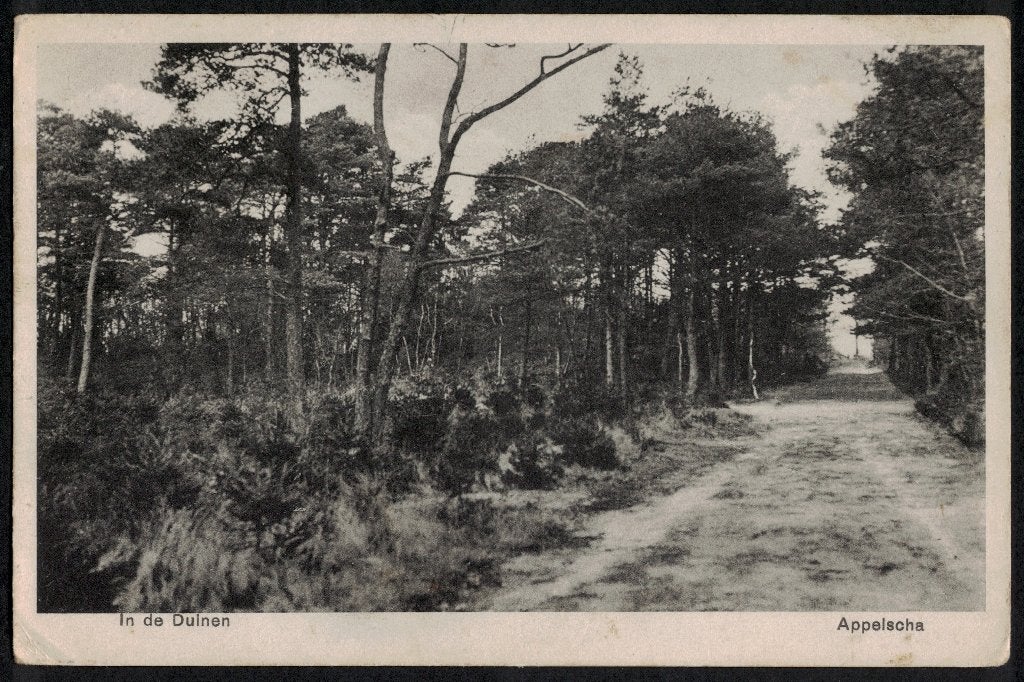 Appelscha, In de Duinen. 1932., Ophalen of Verzenden, 1920 tot 1940, Gelopen, Friesland