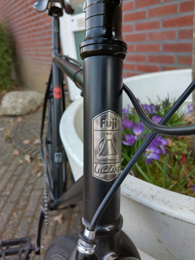 Fuji Declaration (Fixie), 55 tot 59 cm, Ophalen, Fuji