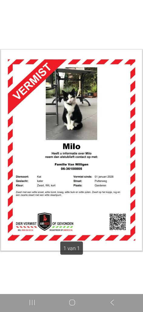 Vermist sinds 1-1-2026, Kat