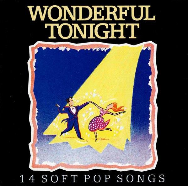 Various – Wonderful Tonight - 14 Soft Pop Songs CD, Cd's en Dvd's, Cd's | Pop, Zo goed als nieuw, Verzenden