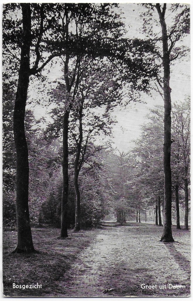 Doorn Bosgezicht Oude Gelopen Ansichtkaart ( B6395), Verzamelen, Ansichtkaarten | Nederland, Ophalen of Verzenden, 1960 tot 1980