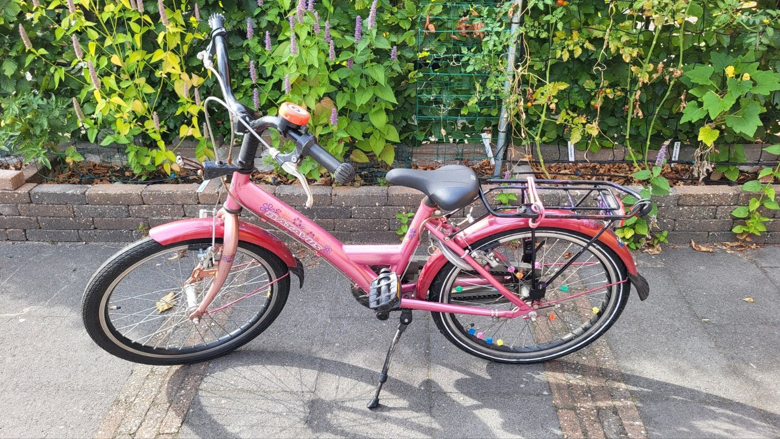 Batavus Koala kinderfiets 20 inch - roze, Ophalen, Gebruikt, Batavus, Terugtraprem