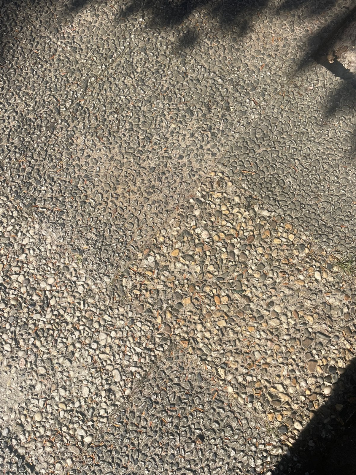 Gratis grindtegels, Ophalen, Zo goed als nieuw, Beton, Terrastegels