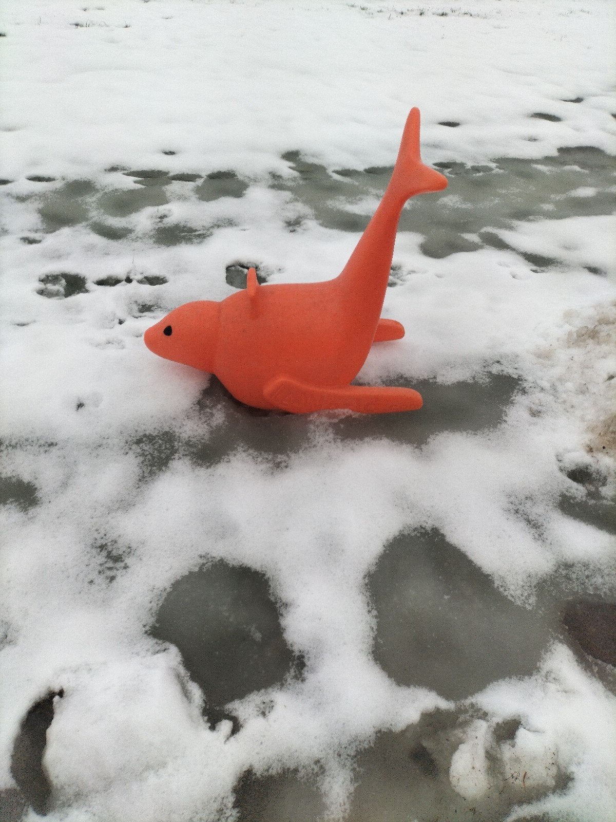 Oranje speelgoed zeehond, Ophalen of Verzenden, Gebruikt, Kunststof