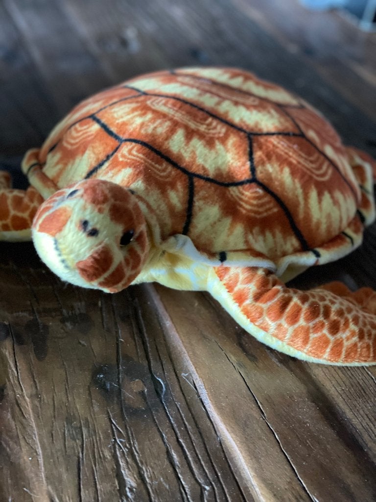 Pluche schildpad, Overige typen, Nieuw, Ophalen of Verzenden, Middelgroot (20 tot 80 cm)