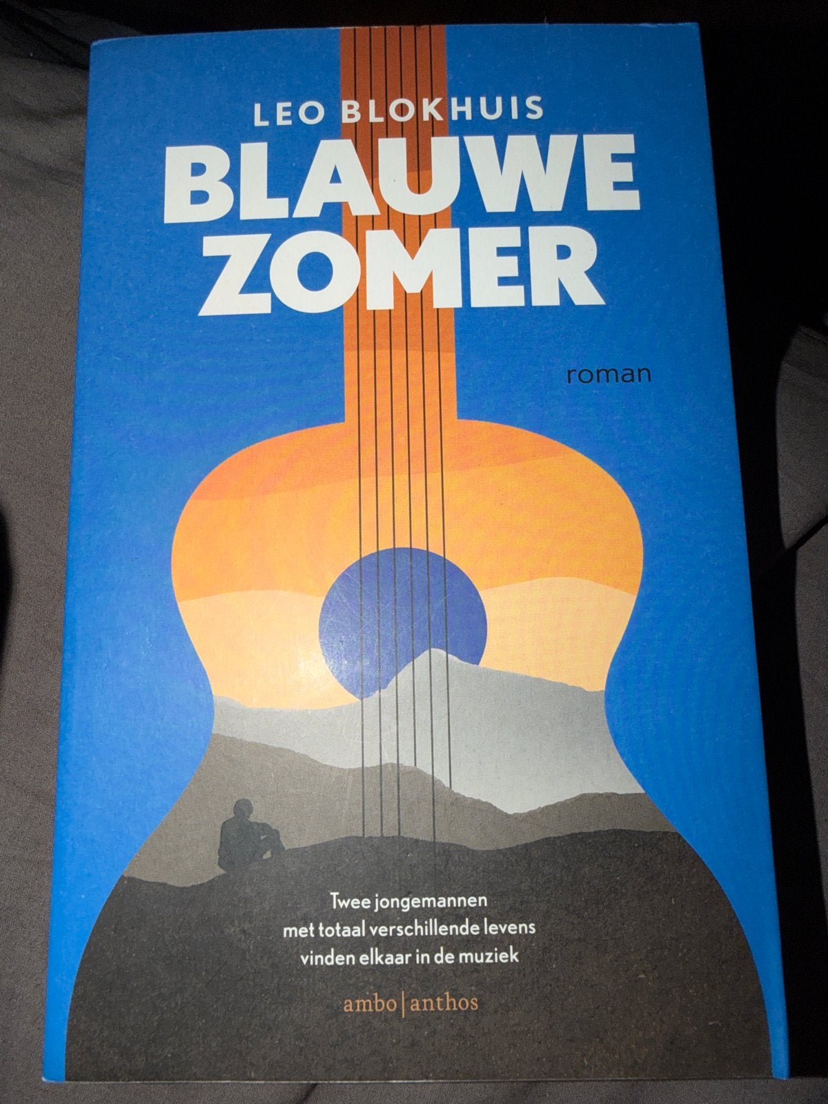 S2.   Leo Blokhuis - Blauwe zomer, Ophalen of Verzenden, Zo goed als nieuw, Leo Blokhuis
